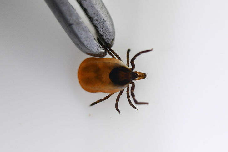    Фото - паблик регионального управления Роспотребнадзора ВКонтакте