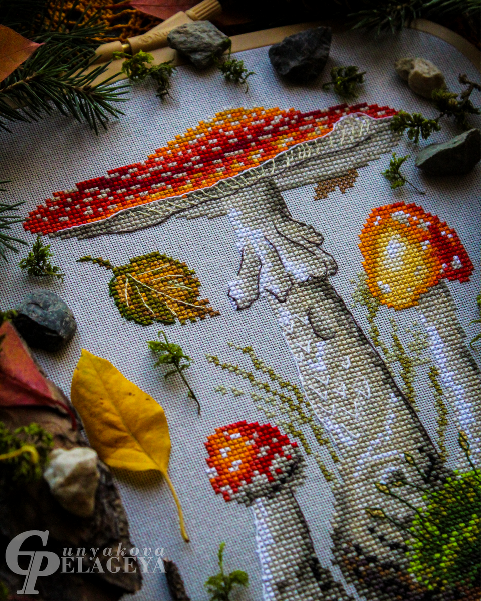 мухоморы. фрагмент