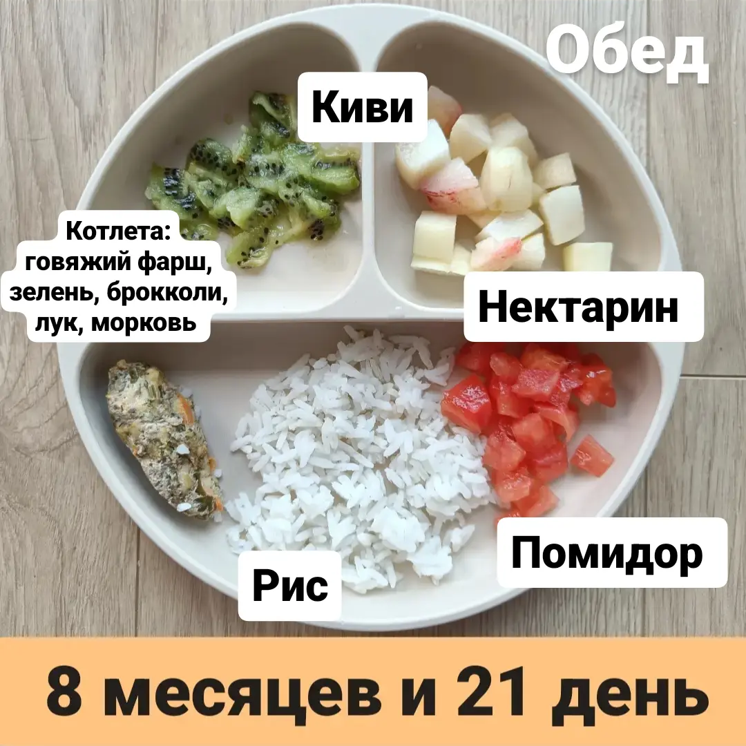 Найти образец о 21