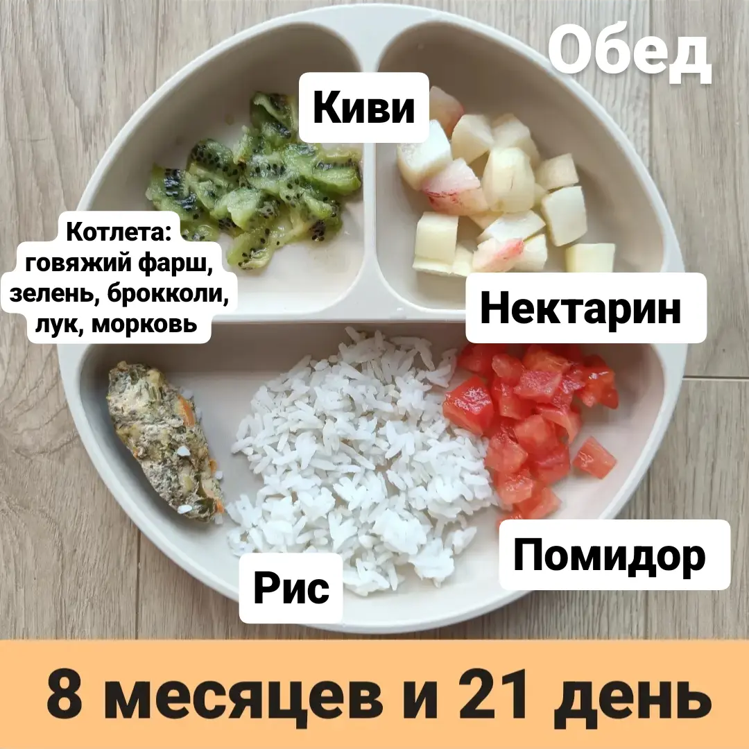 Прикорм. Тарелка 8 месяцев и 21 день. Обед. | В поисках дома ❤️ Вьетнам  🇻🇳 Нячанг | Дзен