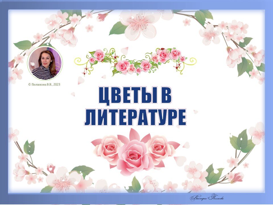 ПРЕВЬЮ