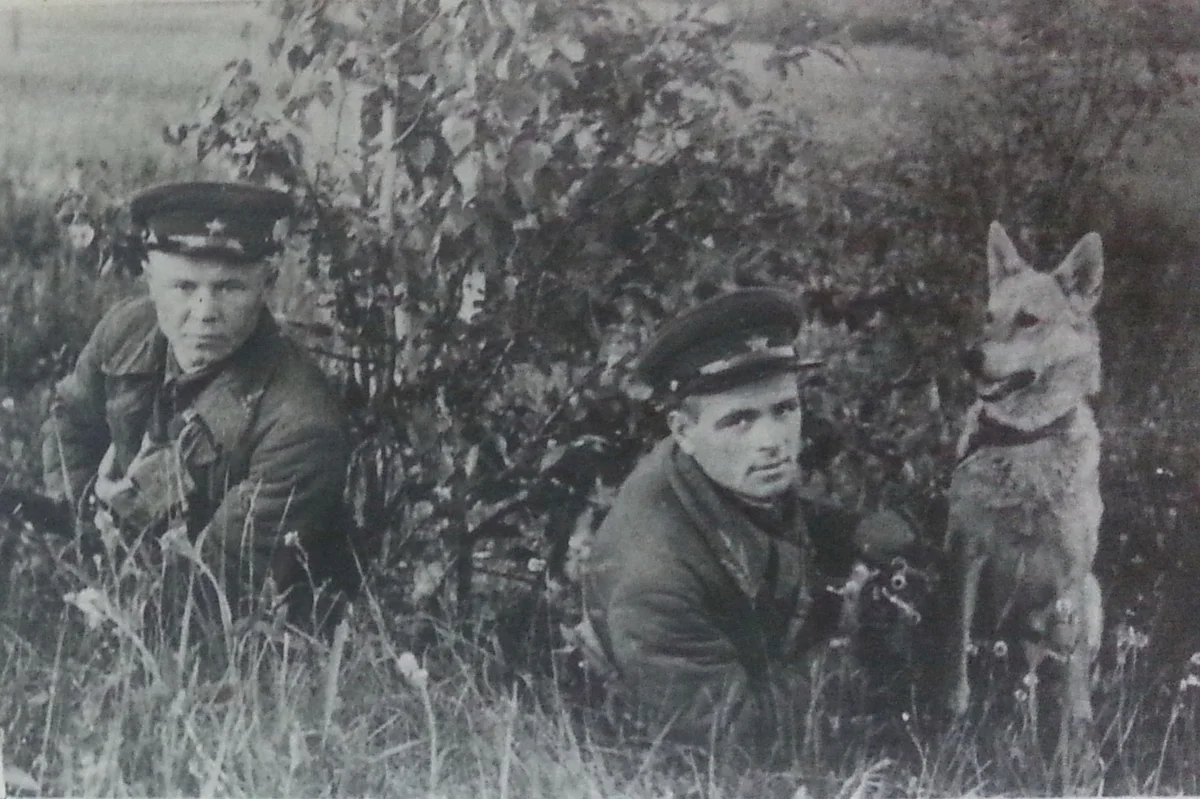 Карацупа пограничник. Никита Карацупа пограничник. Советская Пограничная застава 1941. Пограничник Карацупа блоггер.