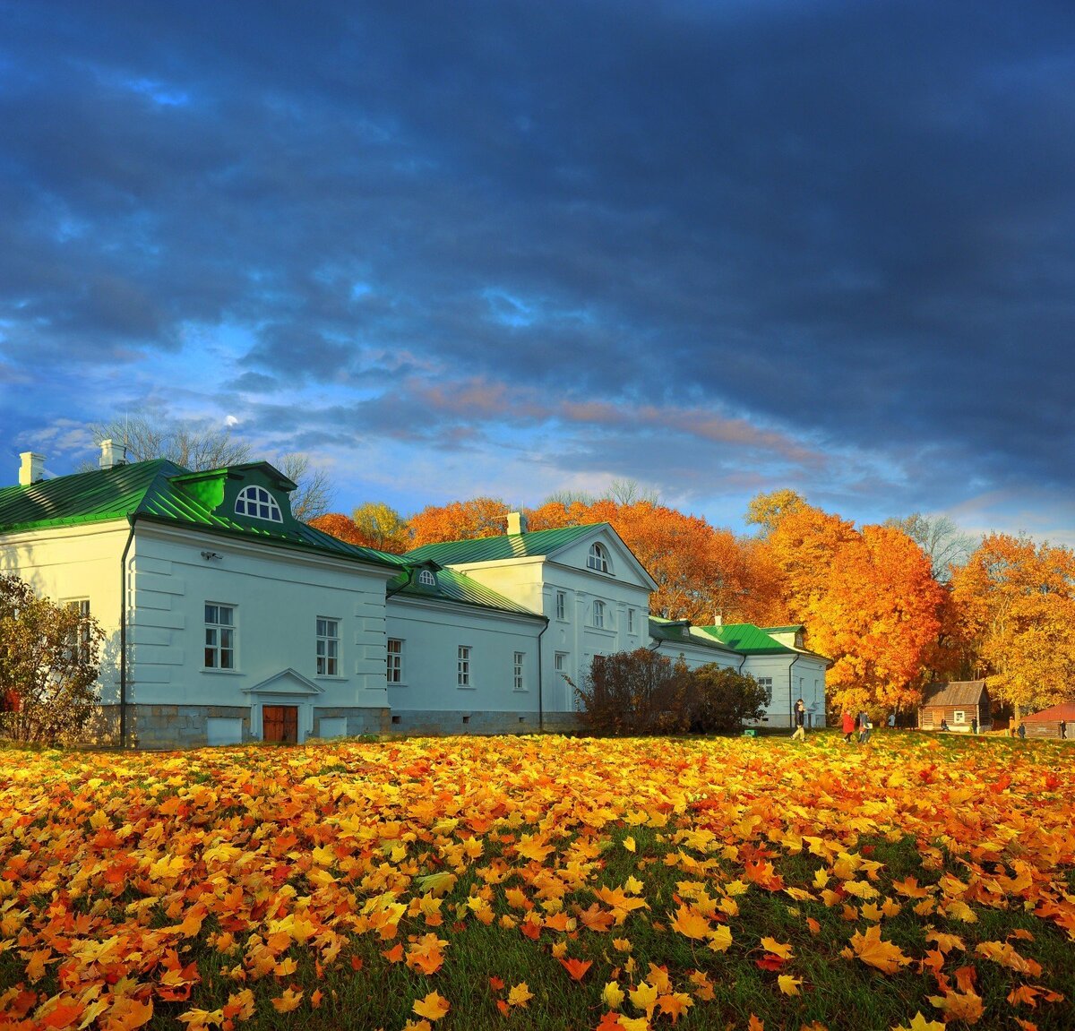 ясная поляна осенью красивые фото