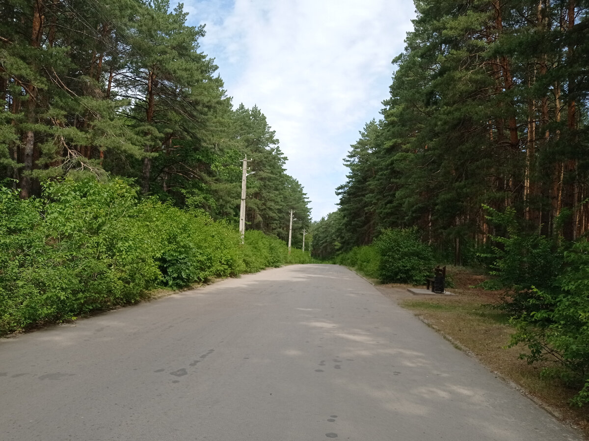 Парк 40летия ВЛКСМ 