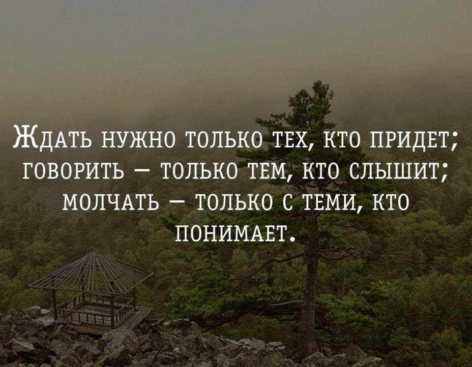 Мудрые цитаты про жизнь. Цитаты со смыслом. Умные цитаты со смыслом. Красивые фразы со смыслом. Цитаты со смыслом о жизни Мудрые.