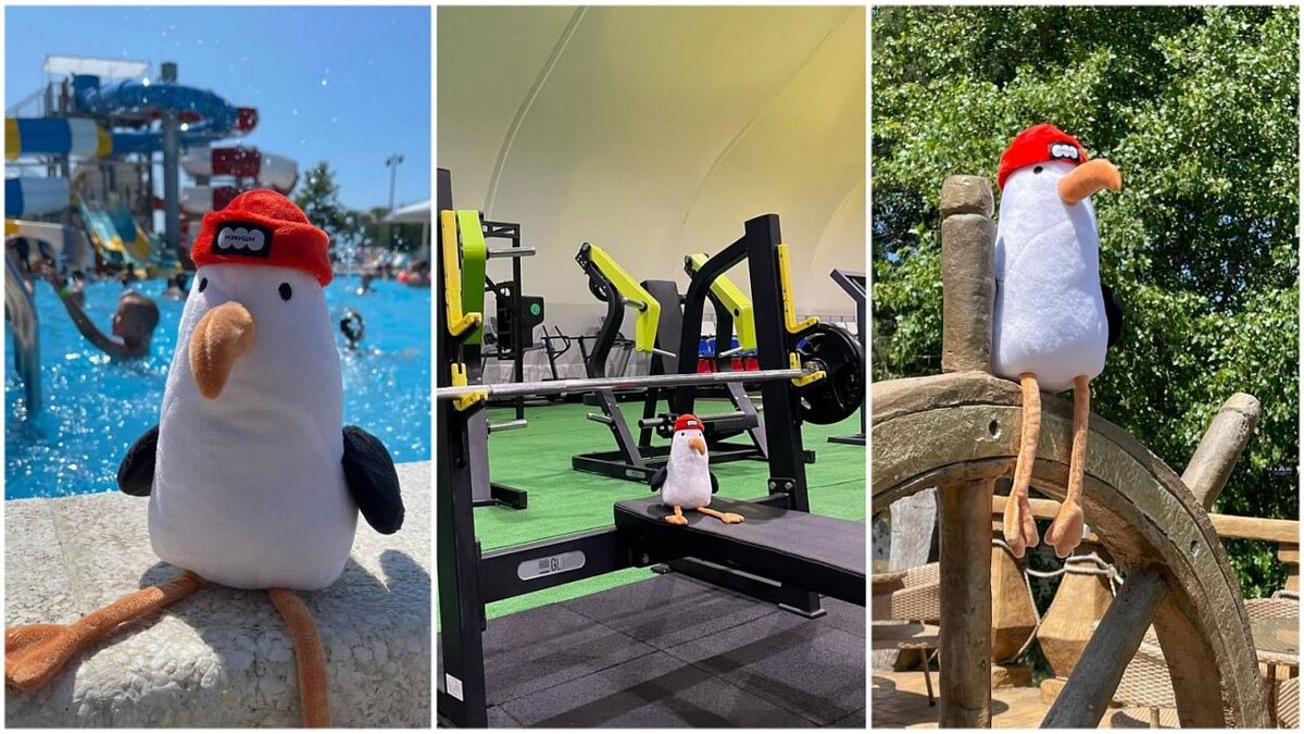    Юная туристка забыла в Анапе игрушку. Фото: телеграм-канал «Хороший Краснодар» / отель Анапы