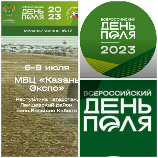    Делегация Оренбургской области примет участие во Всероссийской выставке «День поля» Кристина Просвиркина