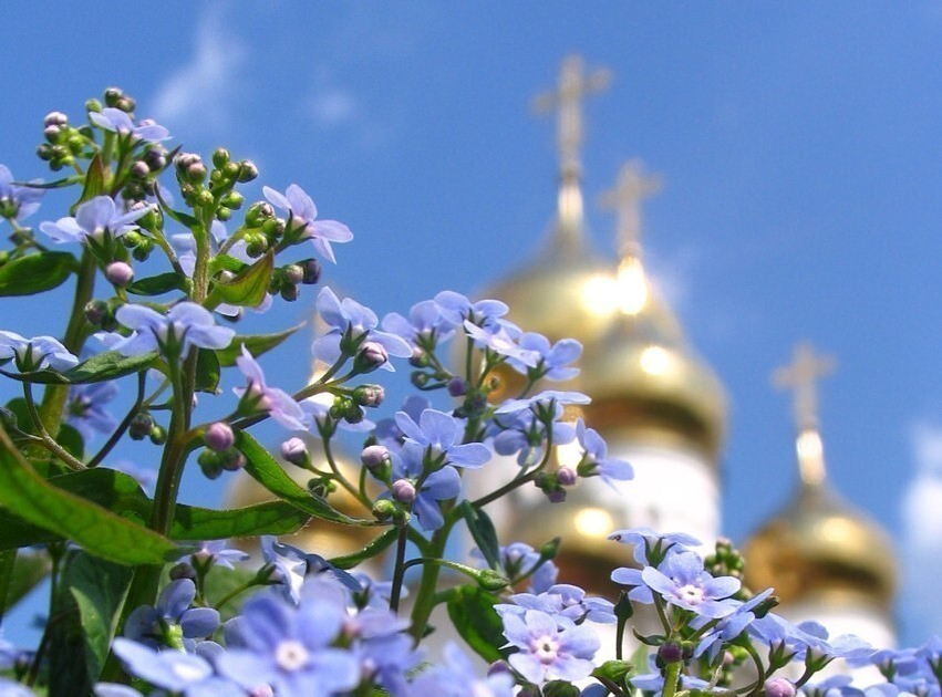 Весенний день великий день. Цветы на фоне храма. Православные цветы. Божьего благословения и помощи.