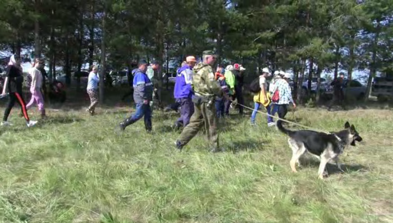    Пропавшего 67-летнего Владимира Моисеева в Северном районе ищут более 170 человек Кристина Просвиркина