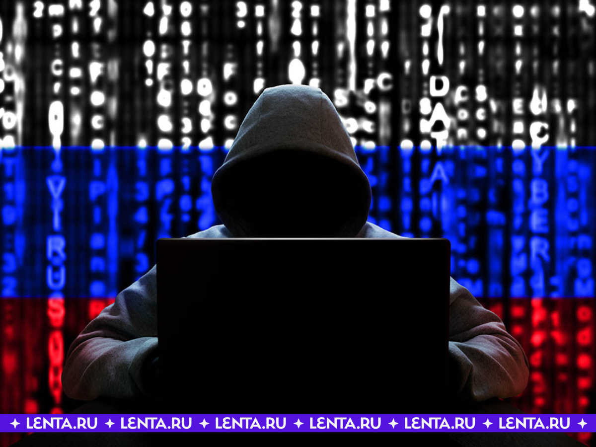 Айтишник из России внедрился в группу украинских телефонных мошенников ...