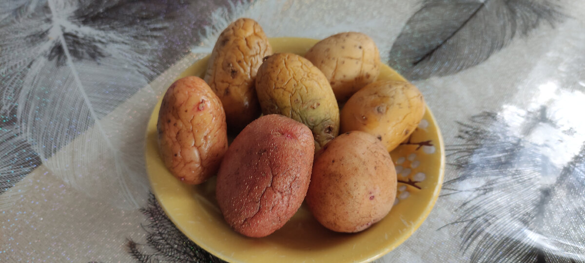 Картофель.