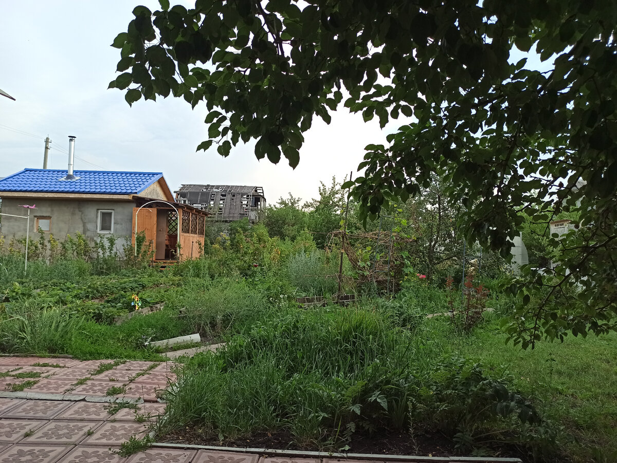 На заднем плане замер папа