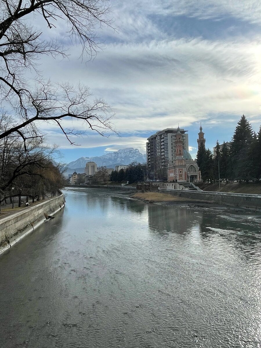 Владикавказ, 2023 год