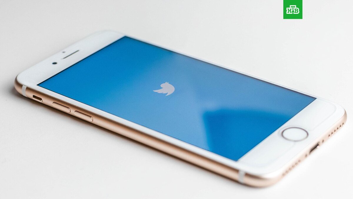    Фото: Sara Kurfe? / unsplash.com