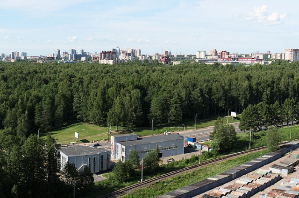    Противники постройки трассы М-7 в Удельном парке собрались на народный сход