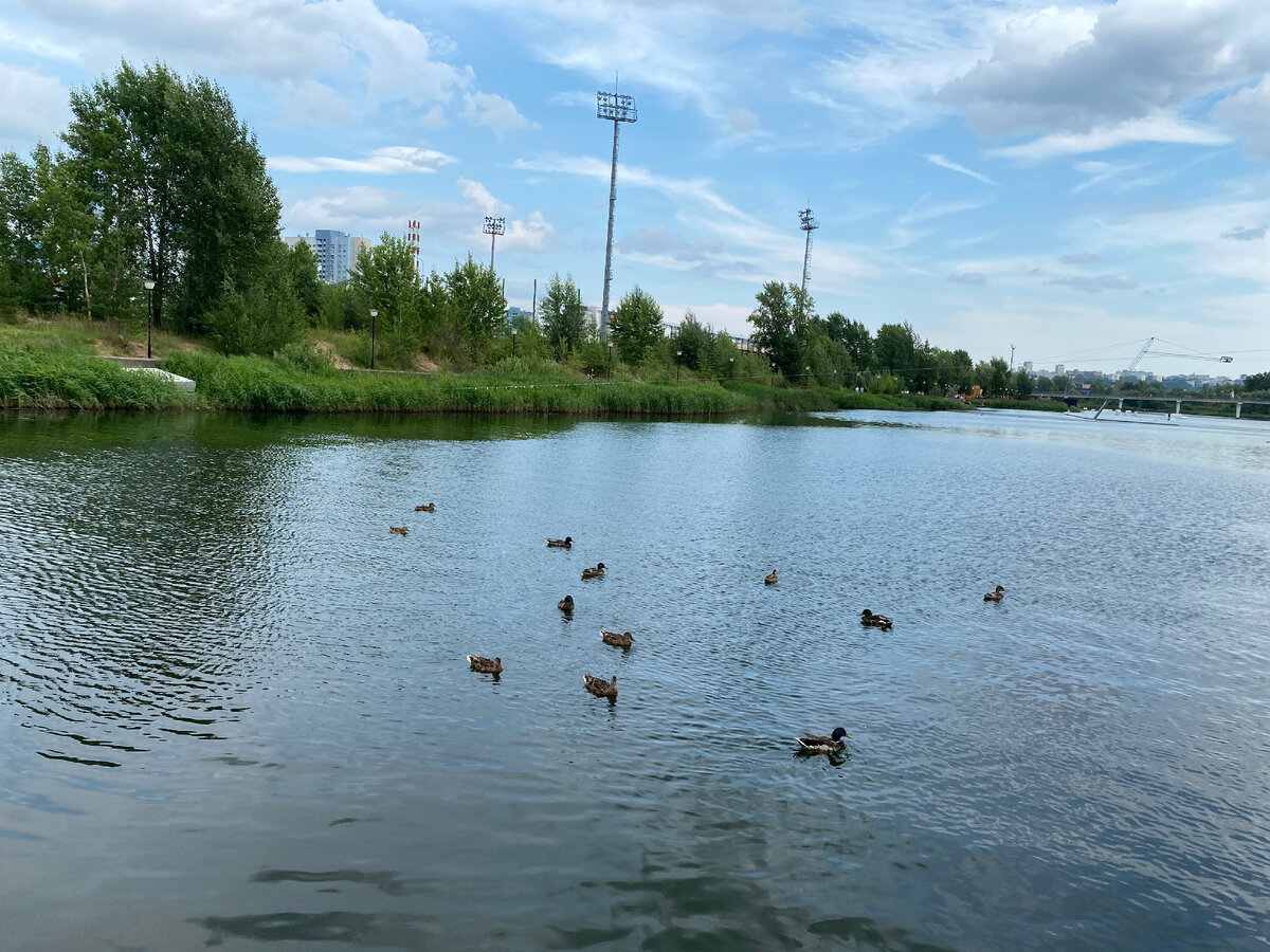 Мещерское озеро в Нижнем Новгороде — чудесное место отдыха | между прошлым  и будущим | Дзен