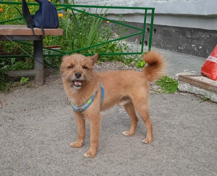 Привет всем!