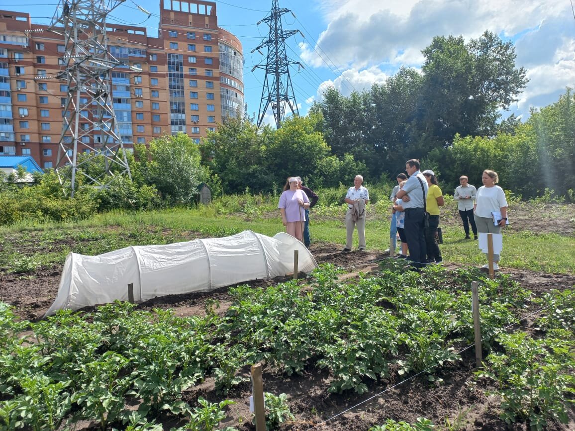 Сад мичуринцев. Сад Мичуринцев Новосибирск. Сады. Мичуринец растение. Полевые эксперименты в экономике.