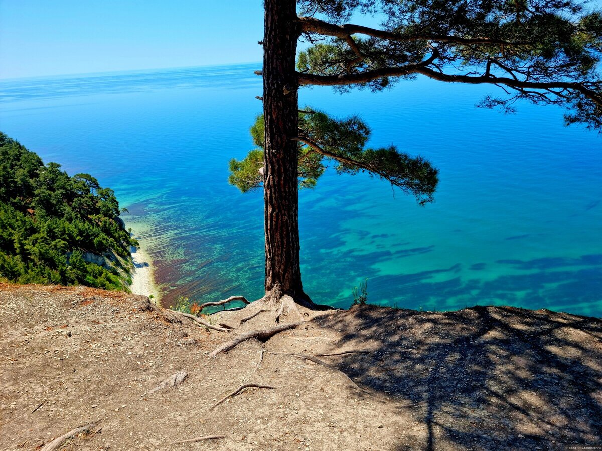 море и пляж в геленджике