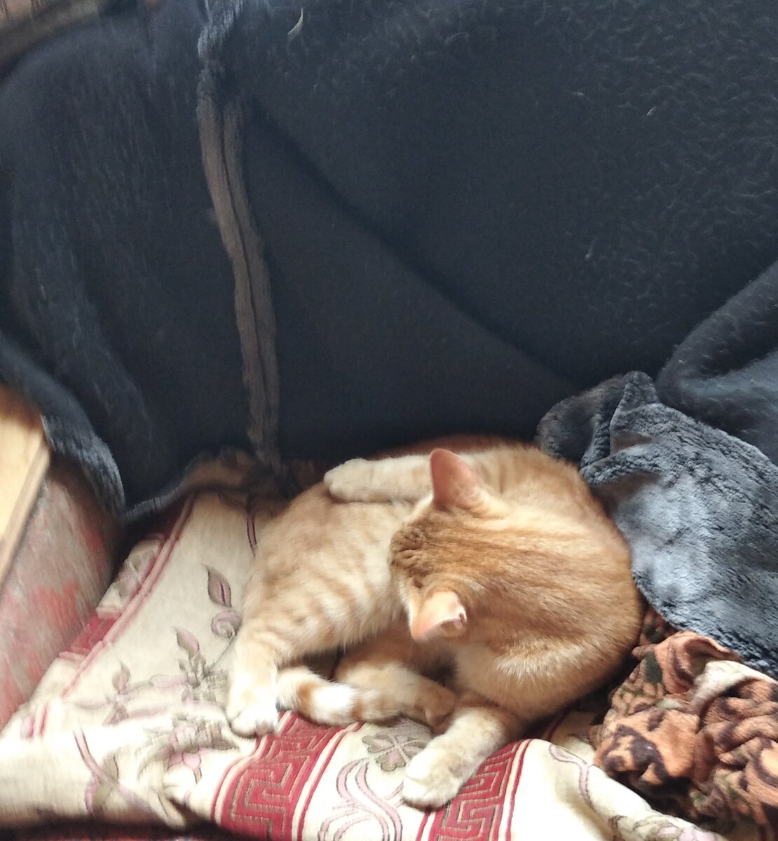 Личное  фото.