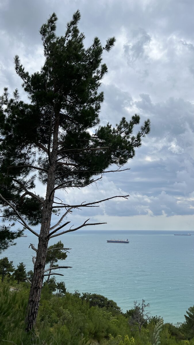 Кабардинка