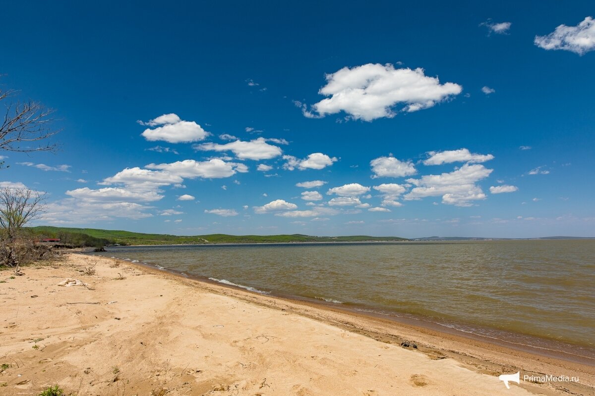 Фото озера ханка