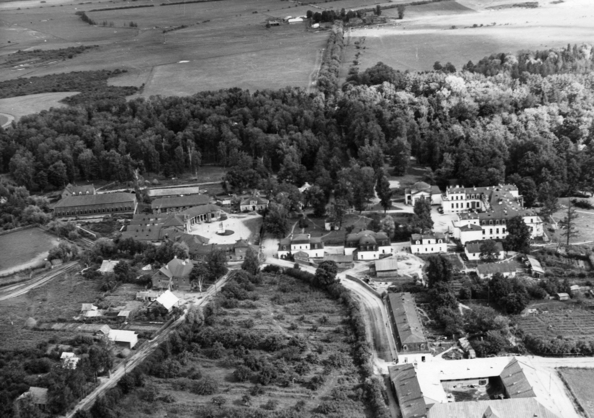 *фото из открытых источников