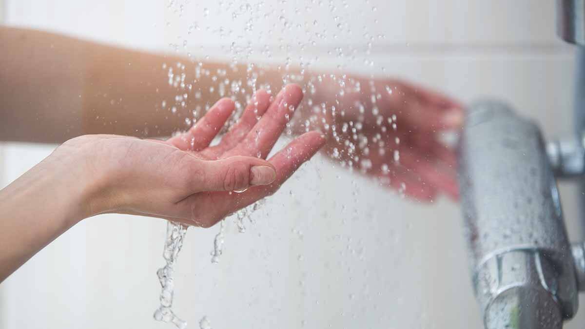    Фото: shutterstock