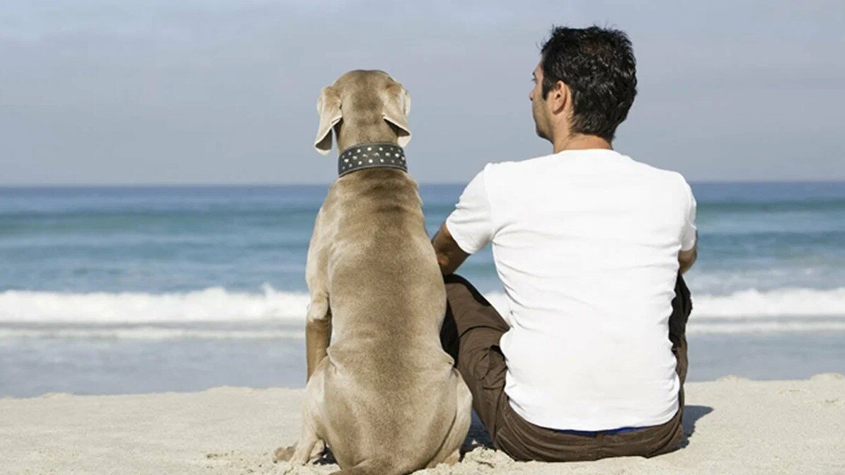 Источник Яндекс картинки