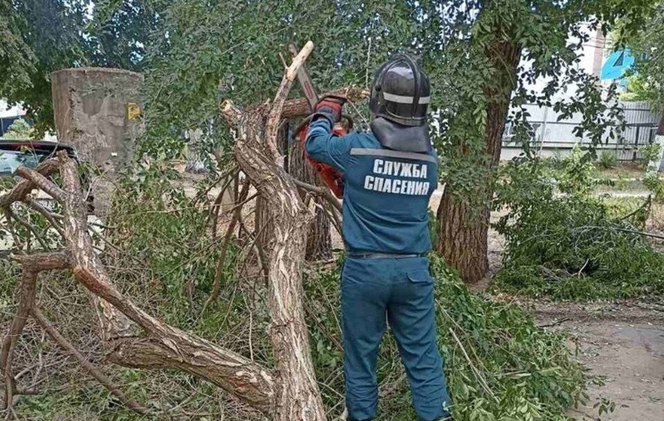 Дерево упало на дом фото