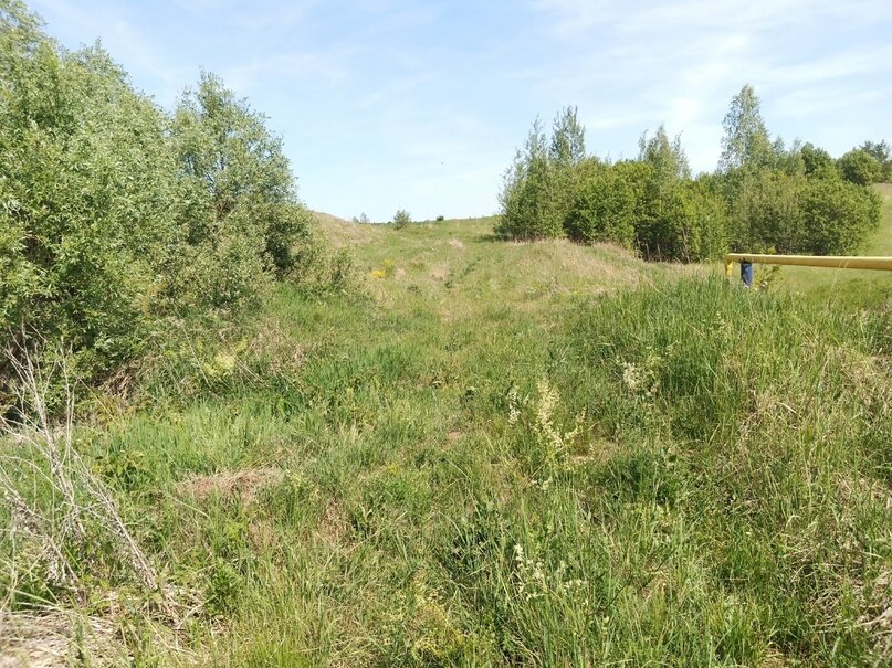 По этому мосту еще можно ездить