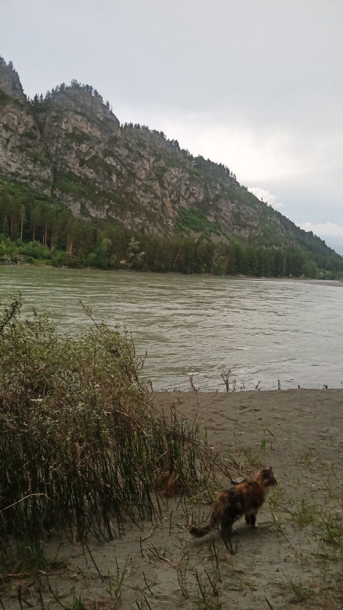 Место на Катуни, где мы простояли три дня