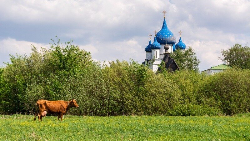 Фото: @ anisimov / ru.freepik.com