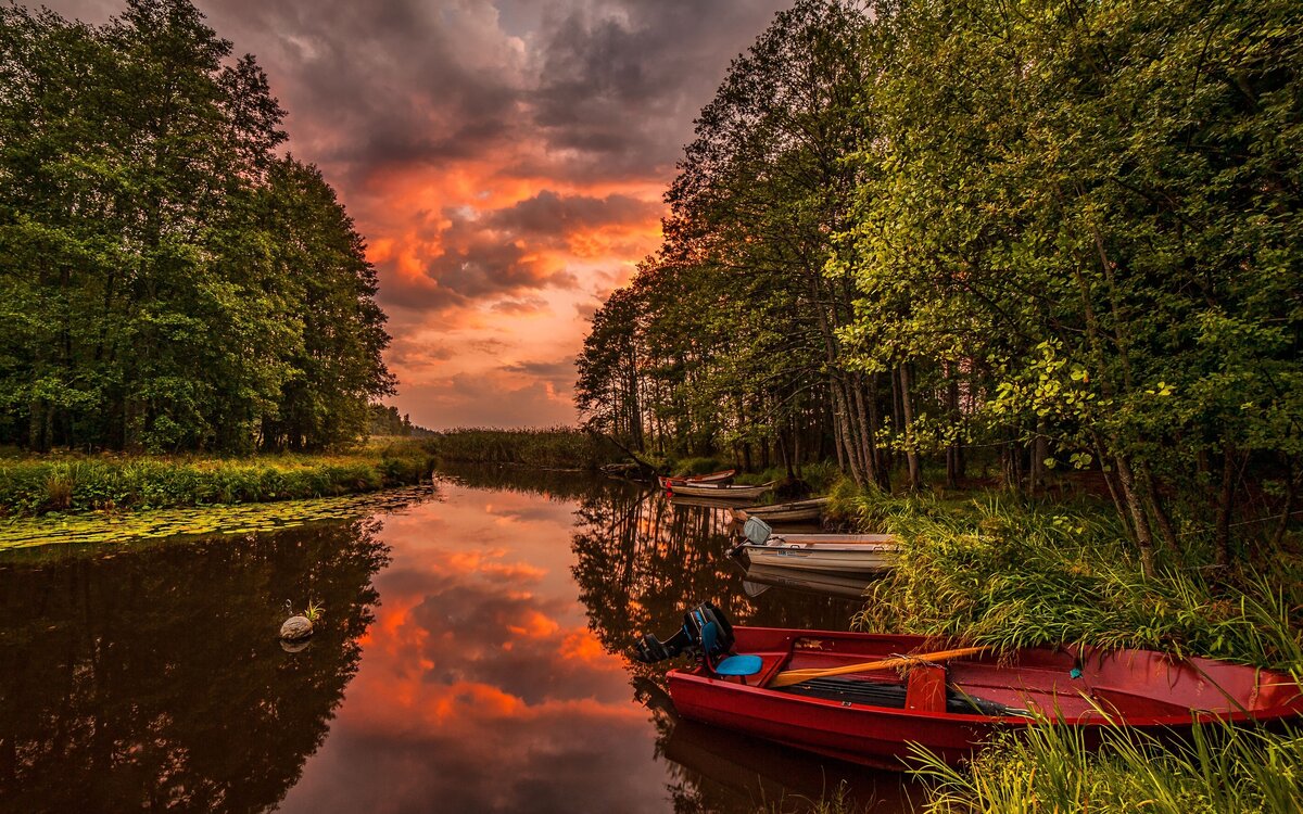 Взято с https://get.wallhere.com/photo/2560x1600-px-boats-forest-landscape-river-sunset-1717369.jpg
