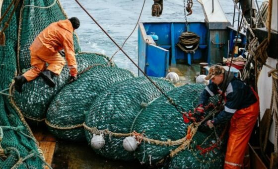     Фото: Росрыболовство