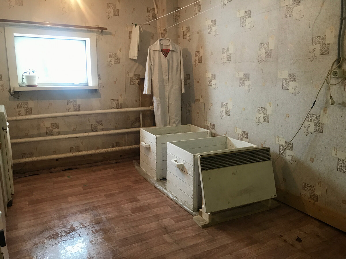 Комната, в которую поступают козлята для первичного осмотра