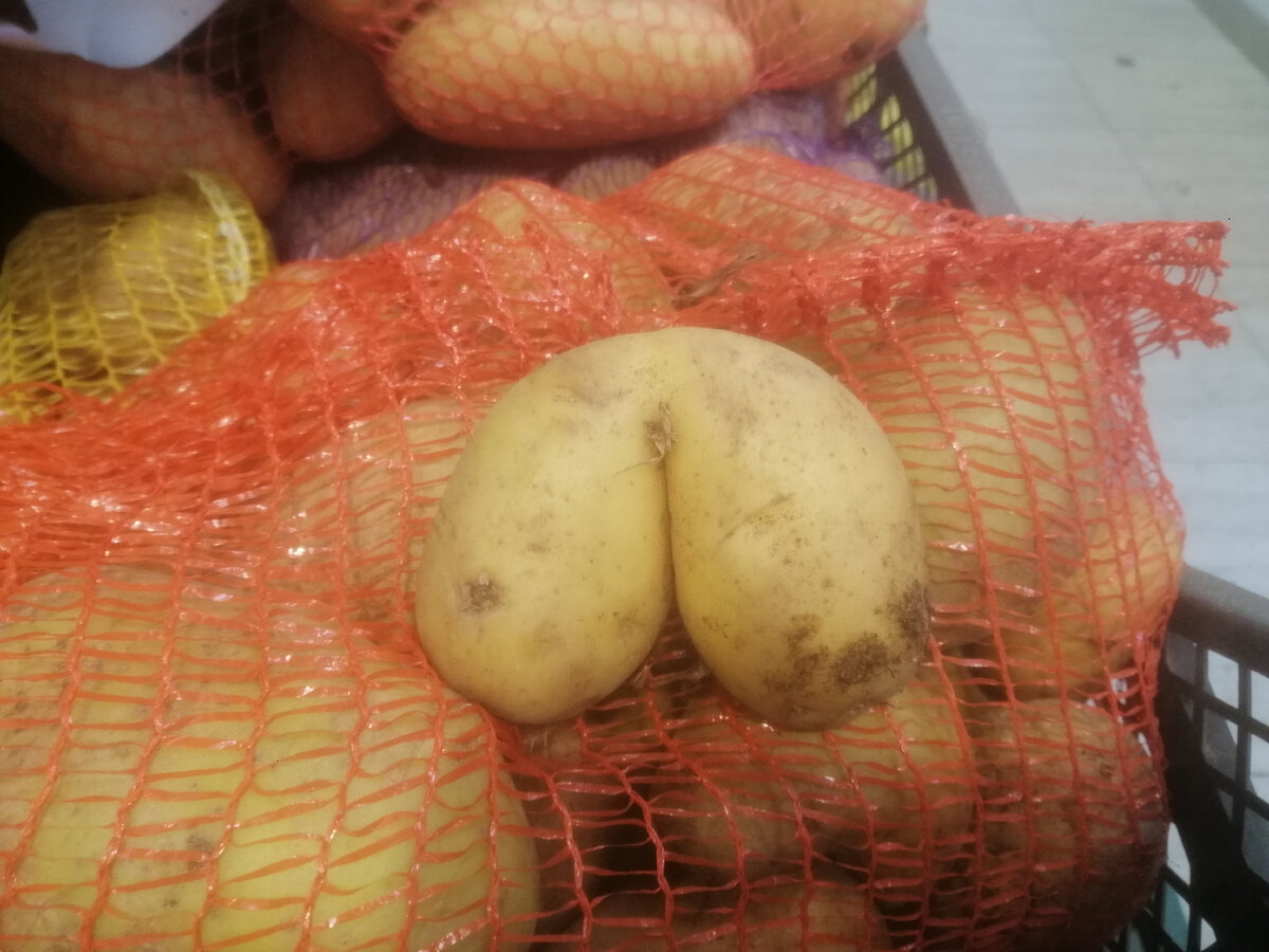 Милая картофелина для заставки