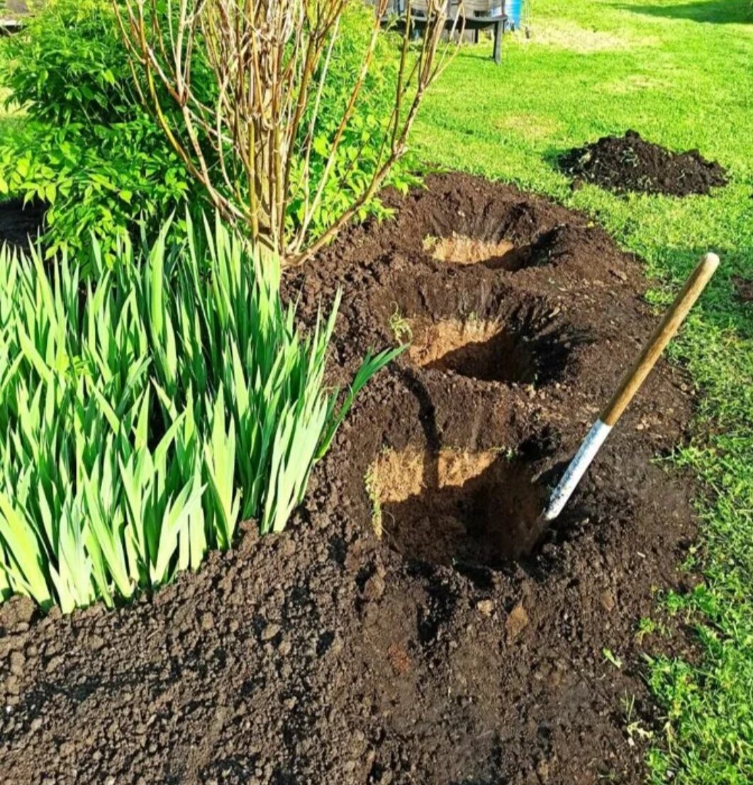 Все ямы копаю лично, чтоб всё было ровненько и чистенько. Не кому не доверяю. Измеряю чтоб яма была 50*50