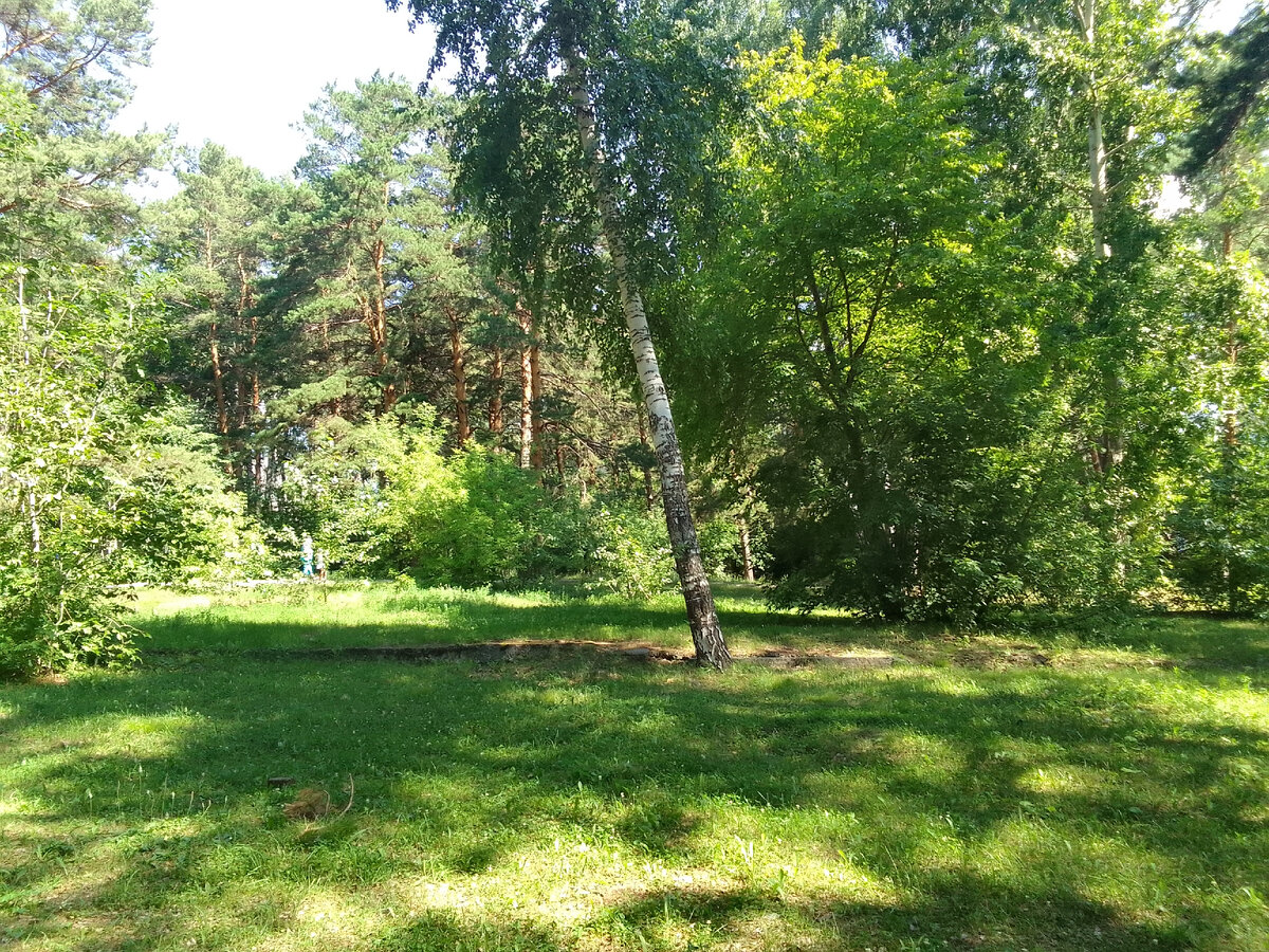 Парк культуры и отдыха "у моря Обского". г.Новосибирск. микрорайон "ОбьГЭС". Фото автора  Июль 2023 г.  