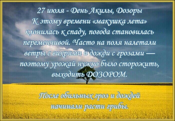 Фото из открытого источника