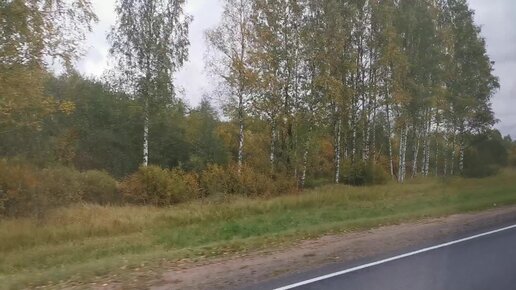 По дороге Торопец-Тверь, осенний пейзаж. On the way Toropets-Tver, autumn landscape.