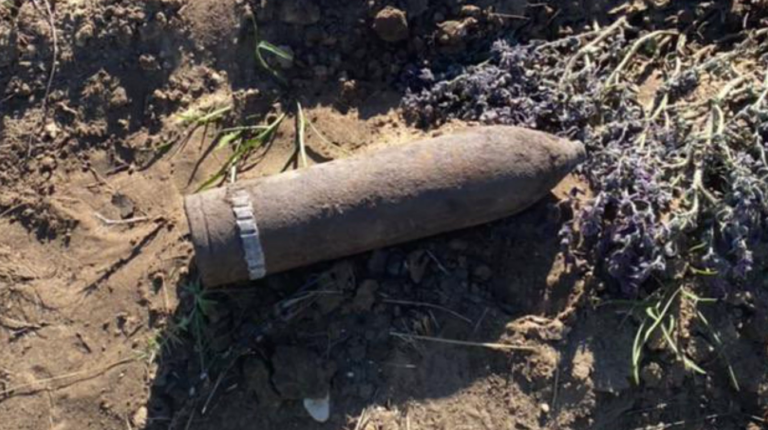    В Оренбурге около дома в Овчинном городке нашли 14 артиллерийских снарядов Белов Михаил Александрович