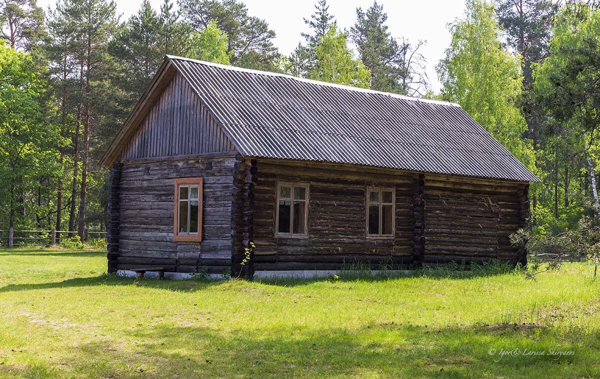 Рязанская Мещёра и река Пра, часть 2 | Интересный мир | Дзен