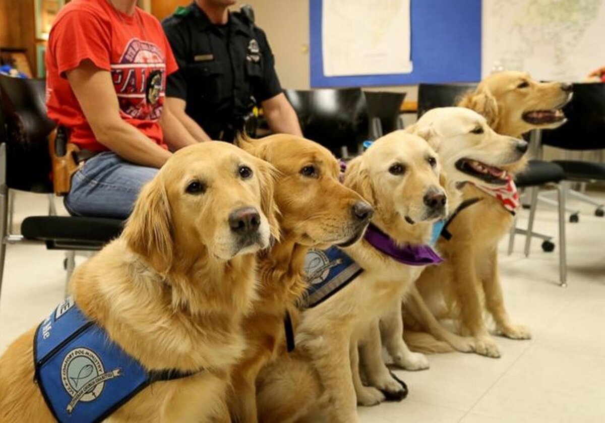 Основа для картинки из ru.pinterest.com