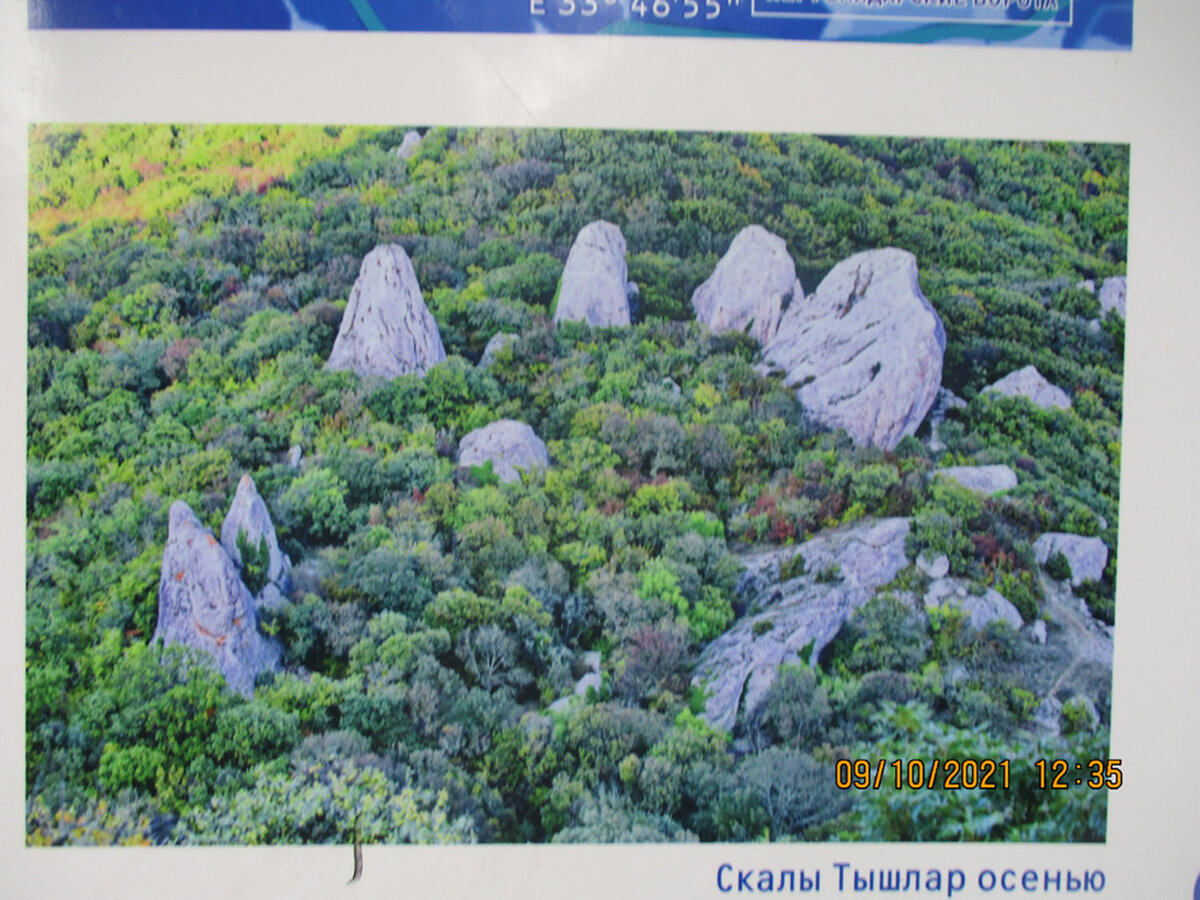 Фото с дрона