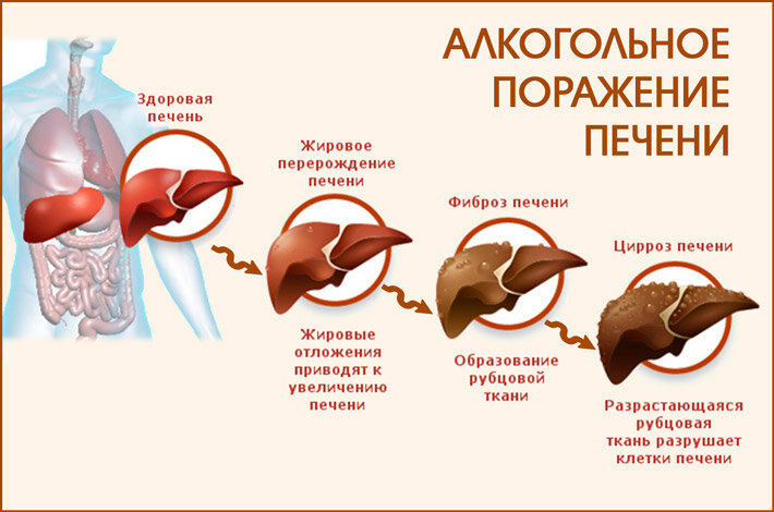 фото из ресурсов интернета