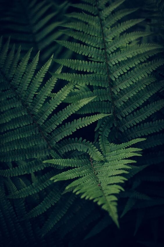 Картинка взята из Пинтереста и находится в открытом доступе. 