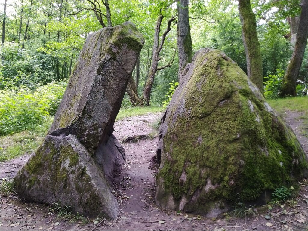Камень Лжи в Пионерском (Нойкурене)