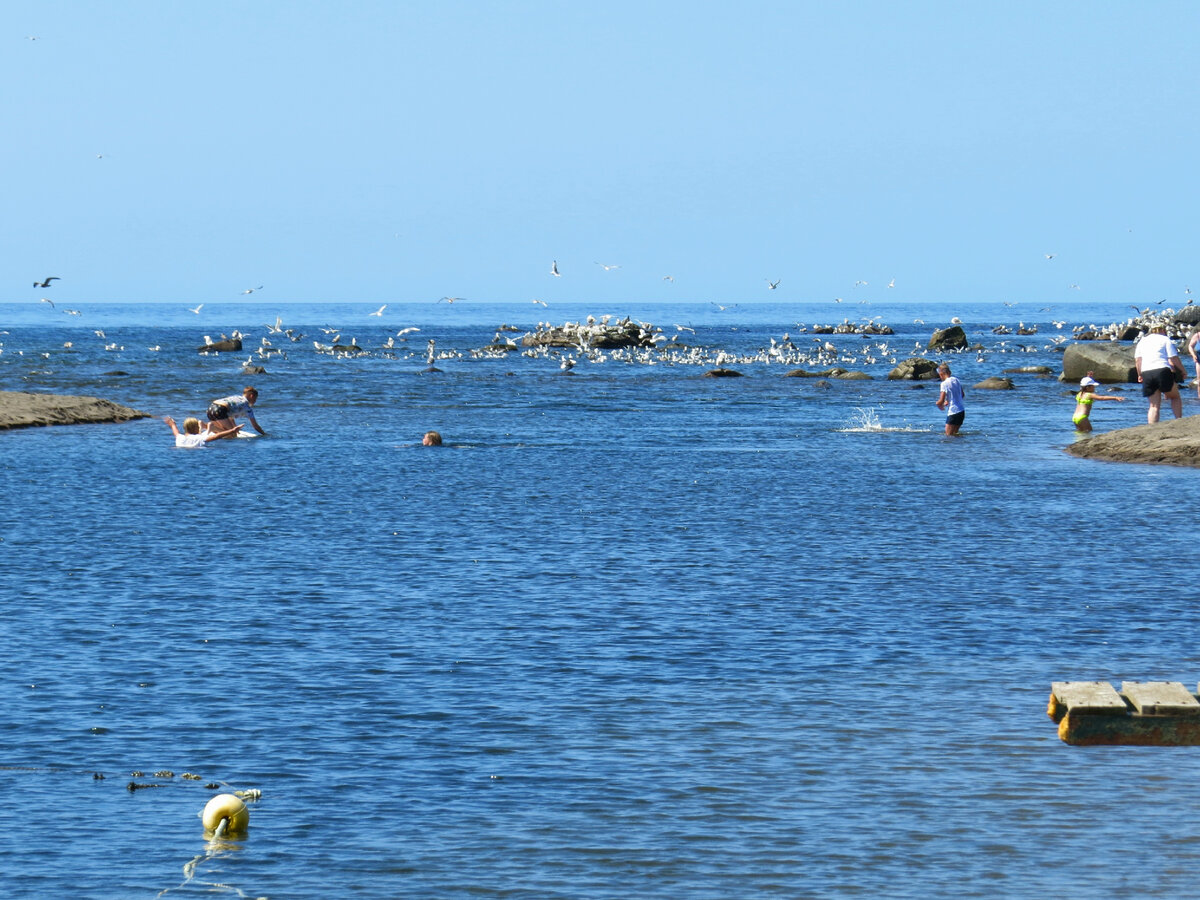 Река Курилка