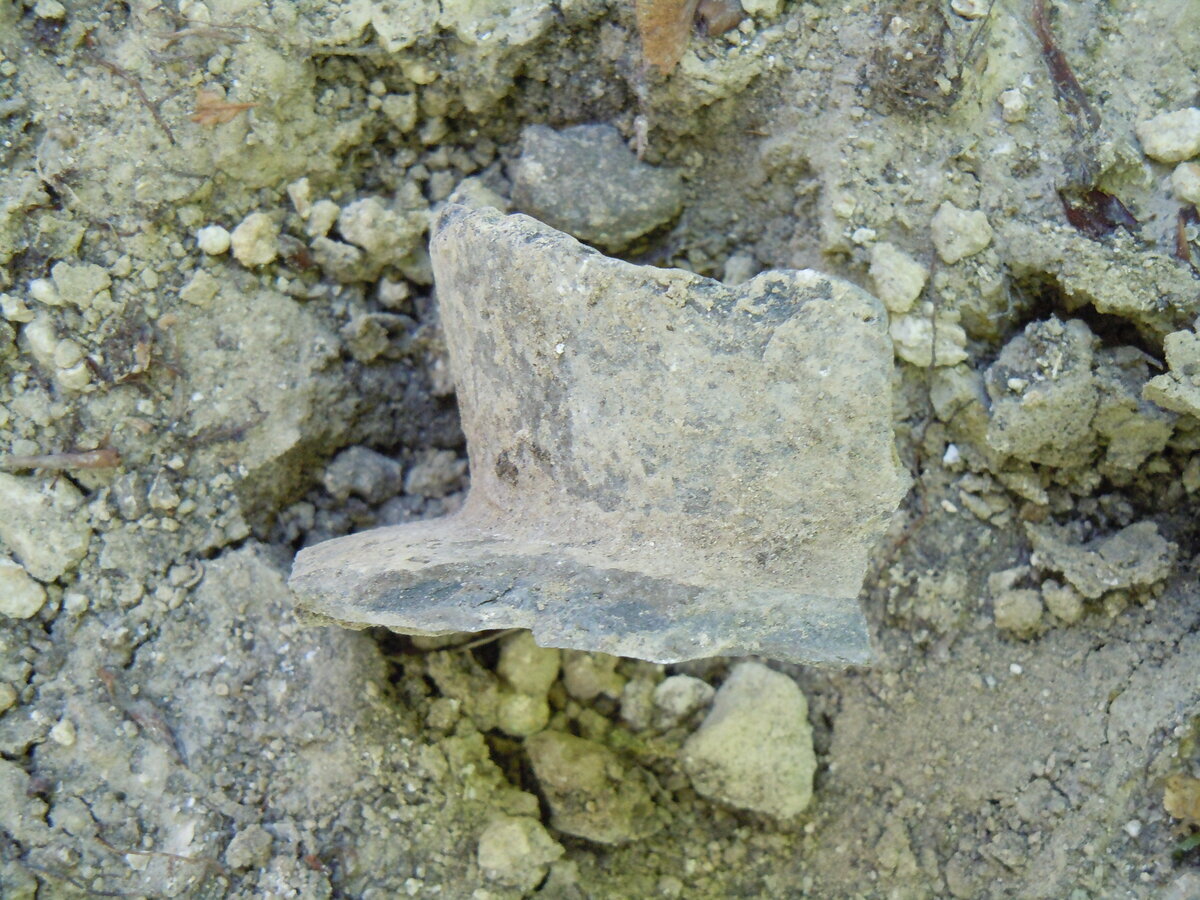 Далее переносимся к станице Новосвободной и посмотрим, как там дела с памятниками археологии в 2023 году.-2